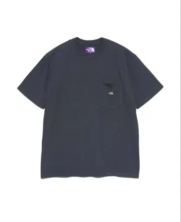 THE NORTH FACE PURPLE LABEL 그레이