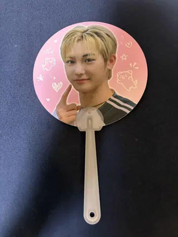 안신 보플 부채