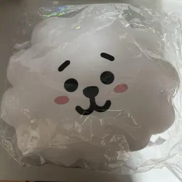 BT21 RJ 쿠션 미사용품