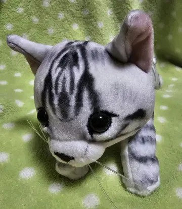 고양이 봉제 인형 펜 케이스