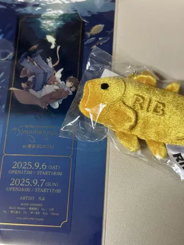 리브 15th 라이브 굿즈 into the abyss
