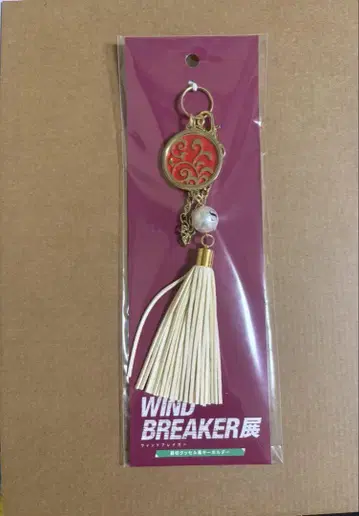 소방준비 WIND BREAKER전 태슬풍 키링