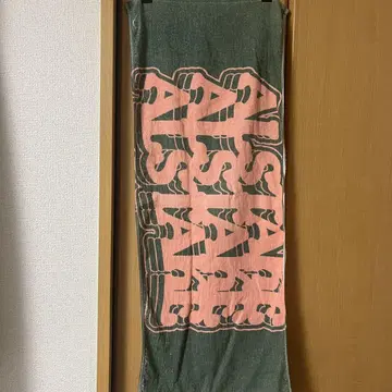 알스 테이크 타월