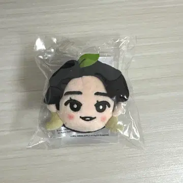 Mrs. GREEN APPLE 오모리 모토키 한국