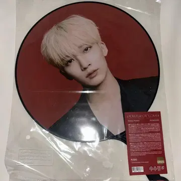 SEVENTEEN POWER OF LOVE 정한 부채