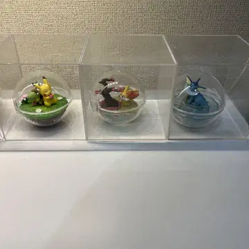포켓몬 테라리움 컬렉션