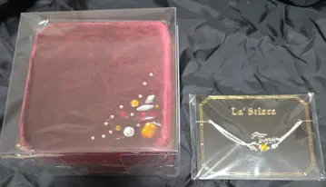 아이나나 러스티 티아라 주얼리 케이스 팔찌 토마