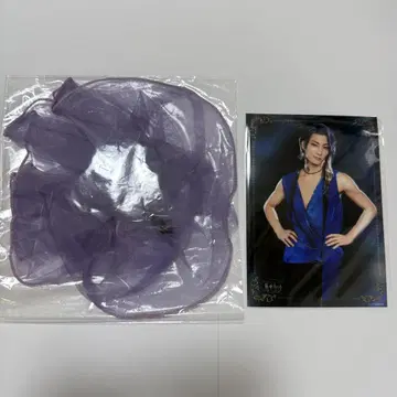 아나전 사토나카 치에 스크런치 2L 브로마이드