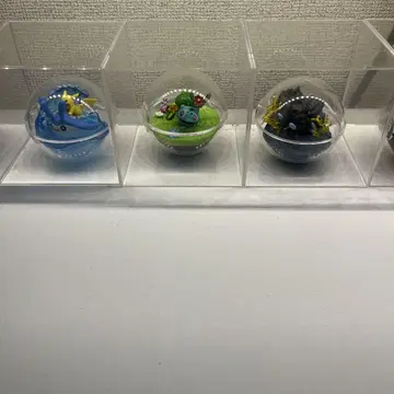 리멘트 테라리움 컬렉션 포켓몬