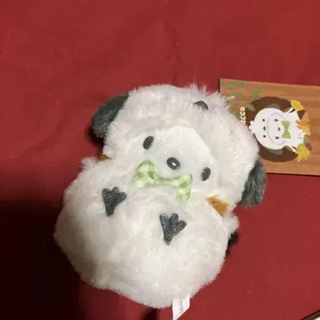 Sanrio 포차코 봉제 인형 시마연가