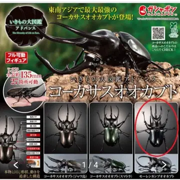 생물대도감 코카서스장수풍뎅이 BANDAI