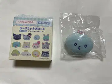 JOCHUM 마이크 시크릿 브로치