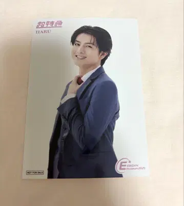 EBiDAN museum 초특급 하루 입장 혜택