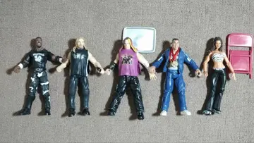 WWF / WWE 피규어 5개 세트