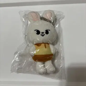 straykids 스키즈 skzoo 푸딩 백참 리노