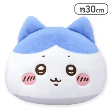 치이카와 (먼작귀) 하치와레 돔 쿠션