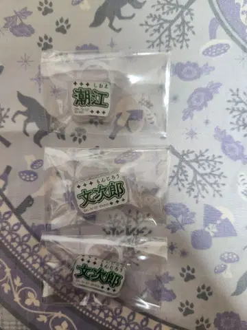 닌뮤 롯칸 시오에 분지로 멀티 마커 6학년 단독 라이브