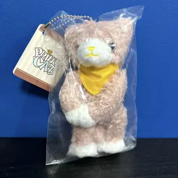 루틸 제이 나기 미니 MINI 프린스캣 프리캐 우타프리 나기