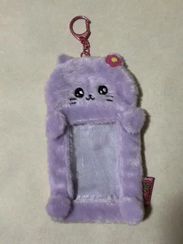 최고심 트레이딩 카드 케이스 고양이 최고심
