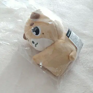 DAY6 도운 3