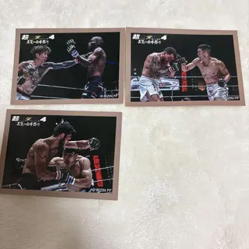 초 RIZIN4 한여름의 싸움 축제 복권 플라 스티커