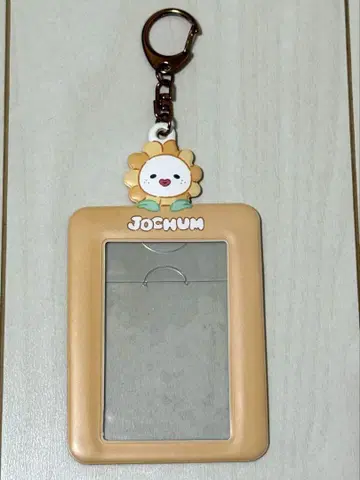 JOCHUM 비라 트레이딩 카드 홀더