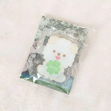 DAY6 도운 11