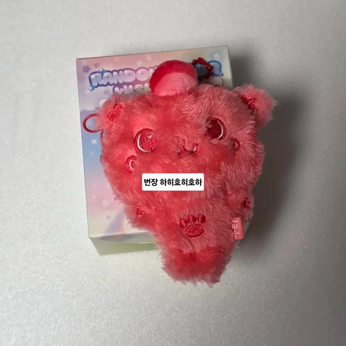 未開封 nctwish steady wish doll リク クリ ぬいぐるみ NCTWISH リク