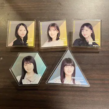노기자카46 한여름의 전국 투어 2025 개별 아크릴 배지