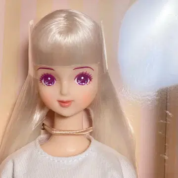 리카짱 캐슬 2025년 9월 DS76 미라이 인형쇼