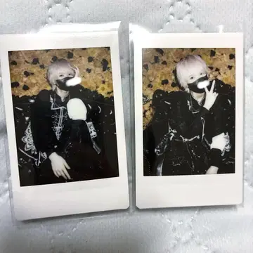키쿄카코 생탄제 2024 폴라로이드