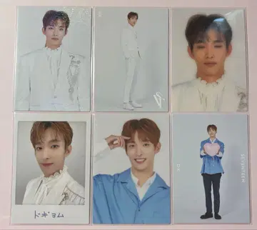SEVENTEEN 세븐틴 svt2020 도겸 트레이딩 카드 세트