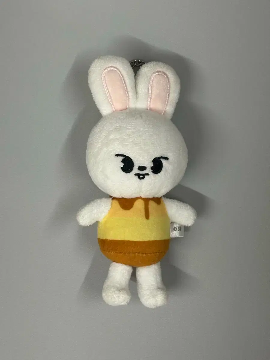 Pudding Ribbit Pubbit Bag Charm Skzoo Skiz Lee Know Doll Keyring