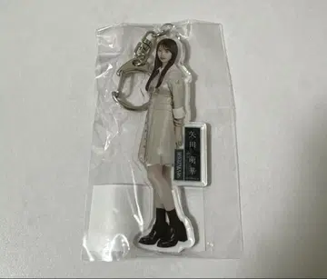 노기자카46 야다 모에카 네이블 오렌지 아크릴 키링