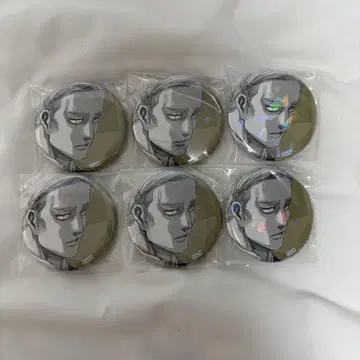 Anique 엘빈 캔뱃지 6개 세트