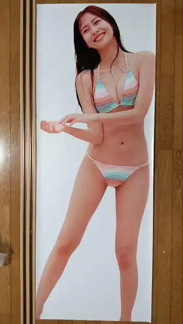 사노 히나코 등신대 포스터