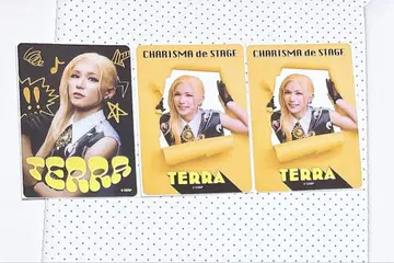 칼리스테 테라 랜덤 클리어 카드 묶음 판매