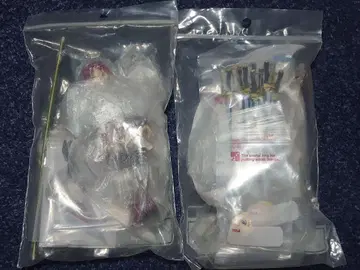 미키 사야카 사쿠라 쿄코 figma 세트품