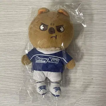 JYP POPUP Skzoo 봉제 인형 백참 한쿼카