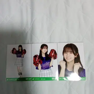 노기자카46 스가와라 사츠키 브로마이드 베이스볼 셔츠 2025 컴프 2