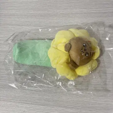 skzoo 펜 케이스 한쿼카
