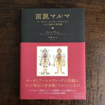 도설 마르마 요가와 아유르베다를 잇는 인도 비전의 신체론 이토 타케시