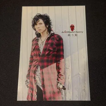 Acid Black Cherry 엽서 잠자는 공주