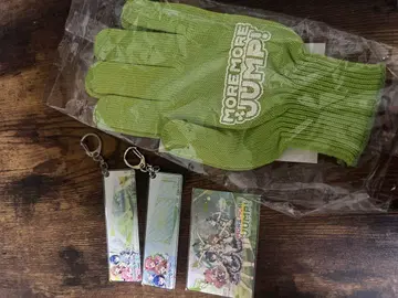 츄니즘 MORE MORE JUMP! 장갑과 키링 세트