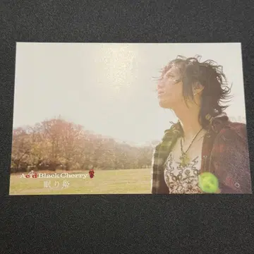 Acid Black Cherry 잠자는 공주 엽서