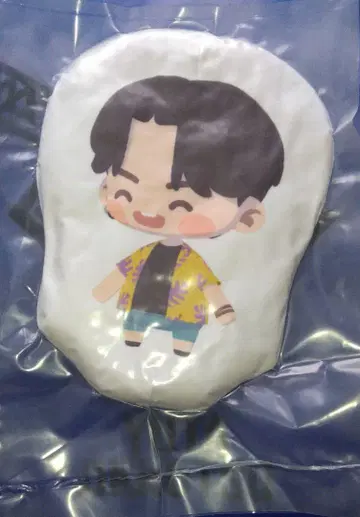 BTS 인더섬 쿠션 정국