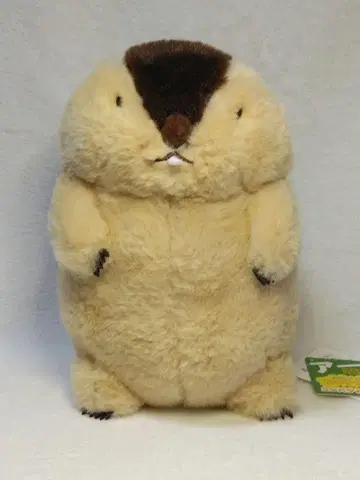 마모트의 마모토토 컴팩트 점보 JB 봉제 인형 하마모토