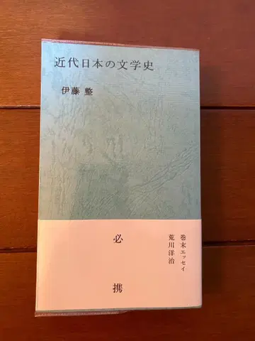 근대 일본의 문학사 이토 세이 아라카와 요지 나츠하샤