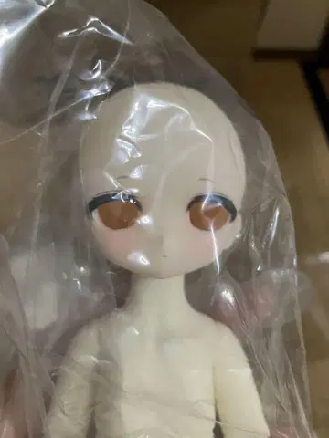 TinyFox 플라리