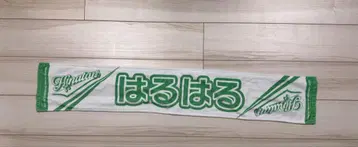 히나타자카46 야마시타 하루카 별명 타월